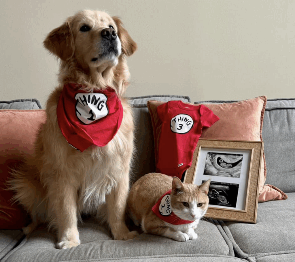 How To Announce Your Pregnancy Thing 1, Thing 2, Thing 3