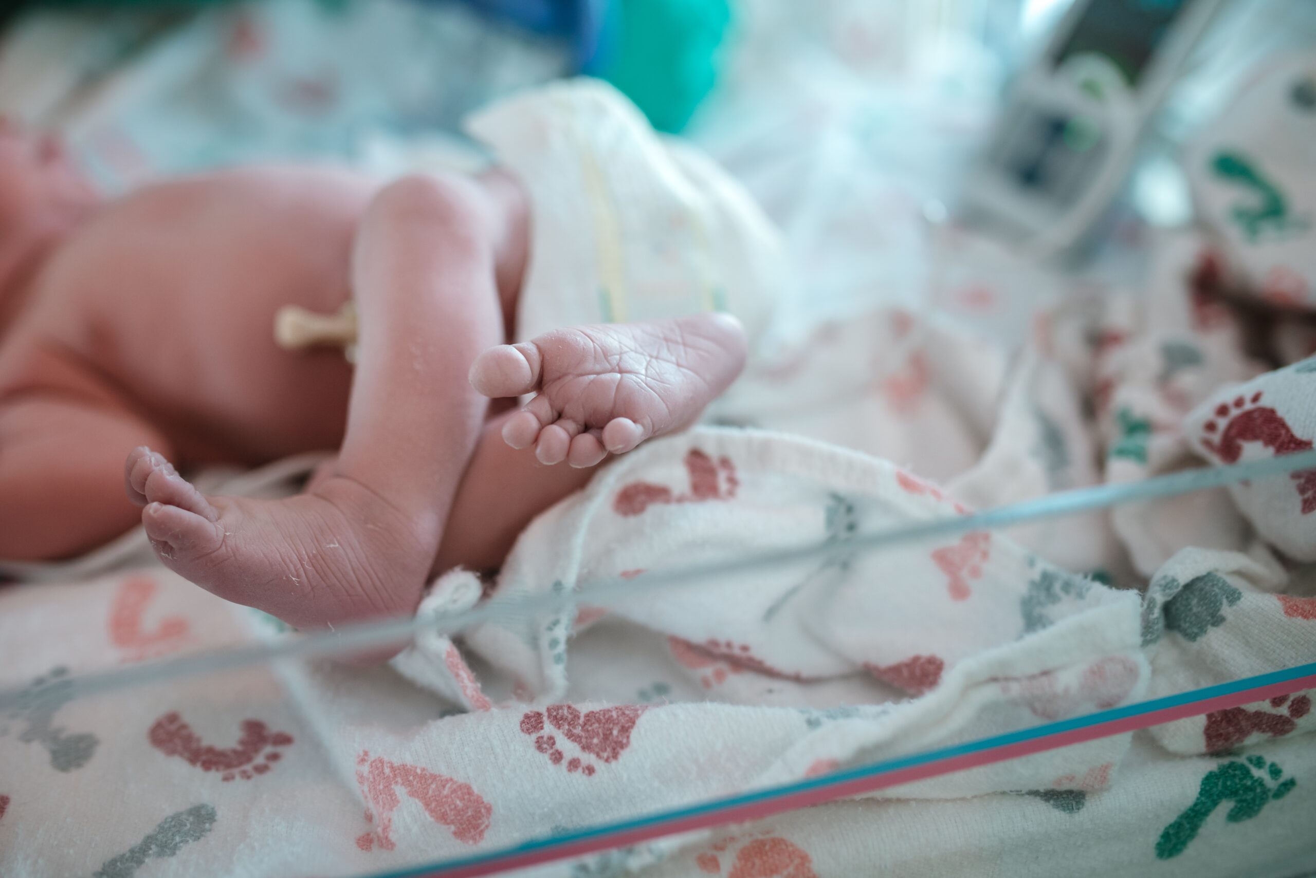 newborn photo