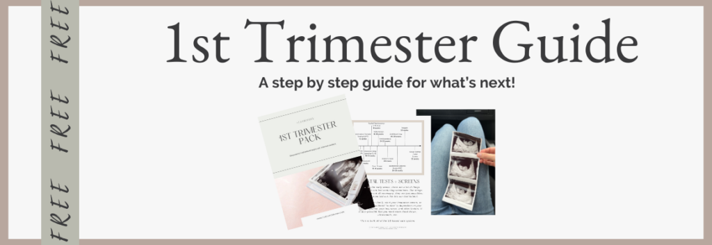 link to free guide to the first trimester
