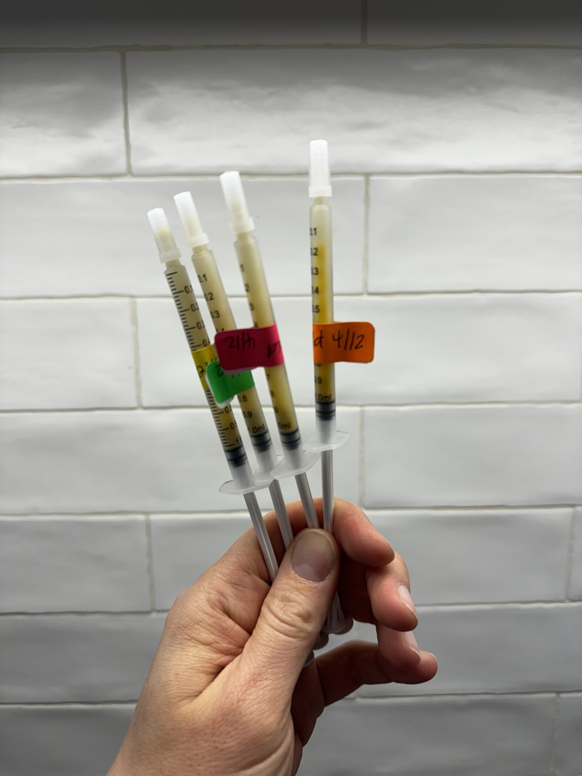 frozen syringes of colostrum